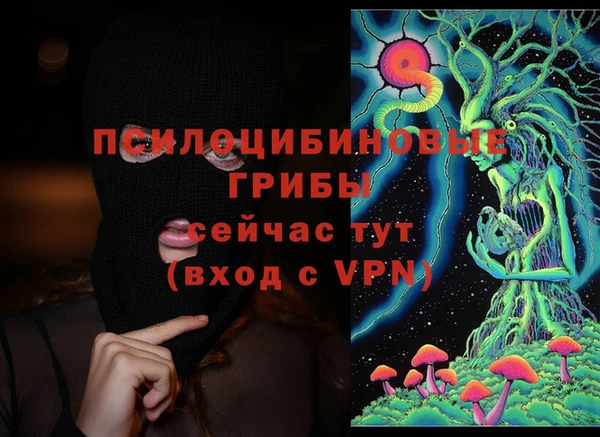 а пвп мука Кинешма