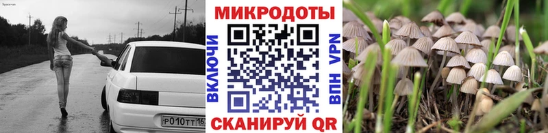что такое наркотик  Дзержинск  omg вход  Псилоцибиновые грибы MAGIC MUSHROOMS 