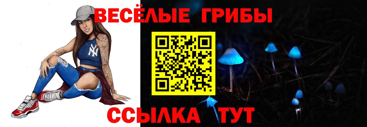 Дзержинск  Галлюциногенные грибы мухоморы  Вход с VPN 